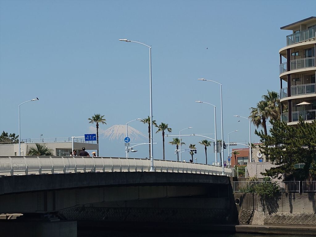 2024-05-04 11.03.10-1.JPG
